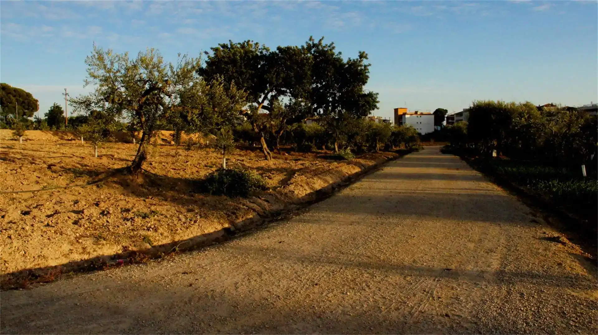Exterior view of Land for sale in Cambrils