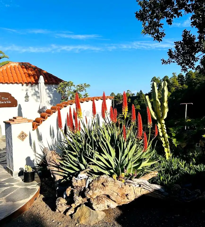 Casa amb jardí en venda a Camino Esperenza, imagen 6