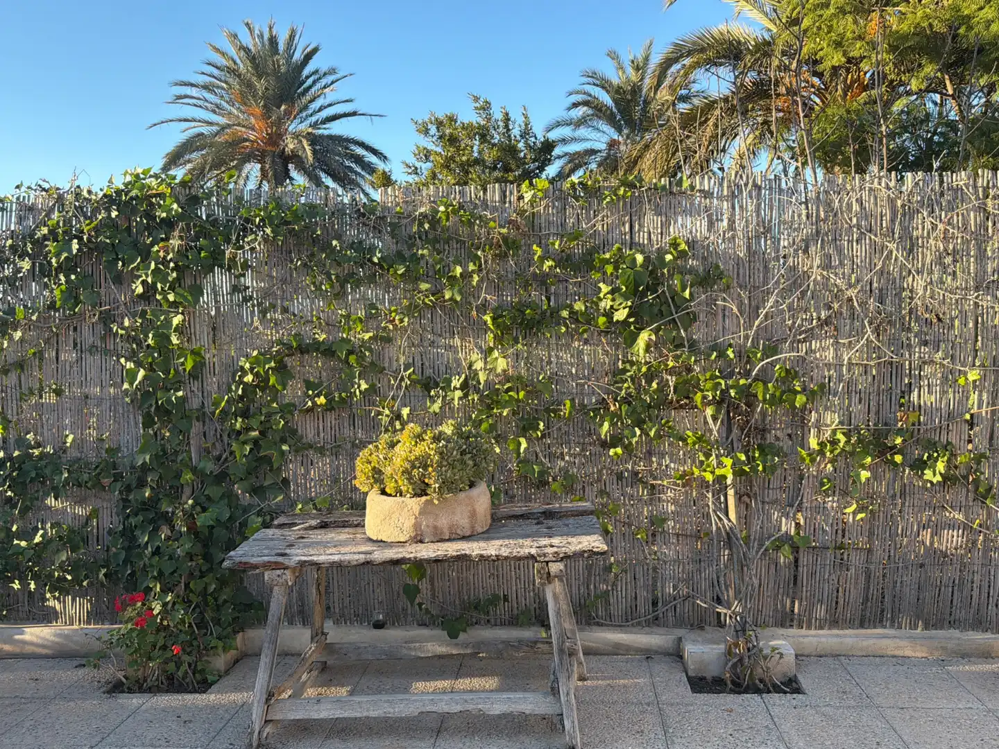 Maison avec piscine à vendre à Dolores, imagen 5