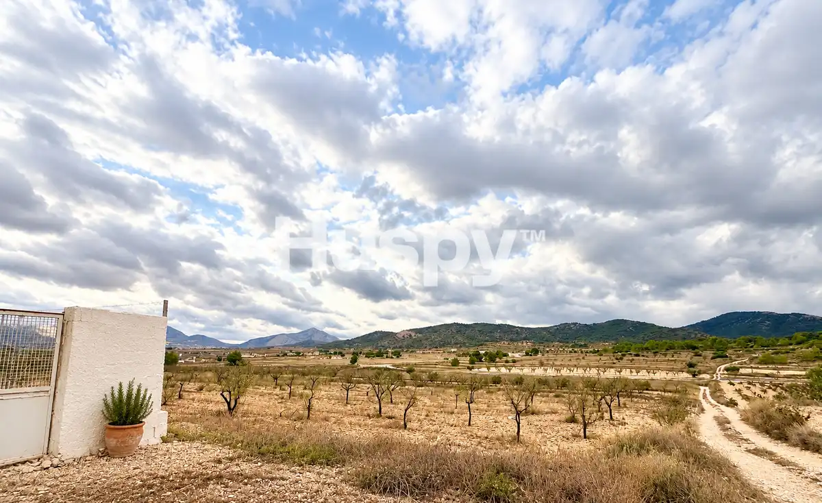 Casa o chalet en venta en Abanilla, Murcia
