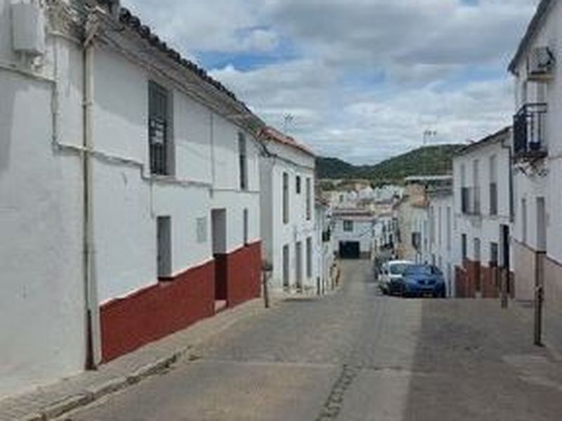 Exterior view of House or chalet for sale in Constantina  with Terrace