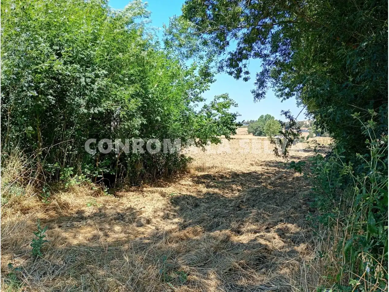 Terreny rústic en venda a Niàgara Parc - Àgora Parc