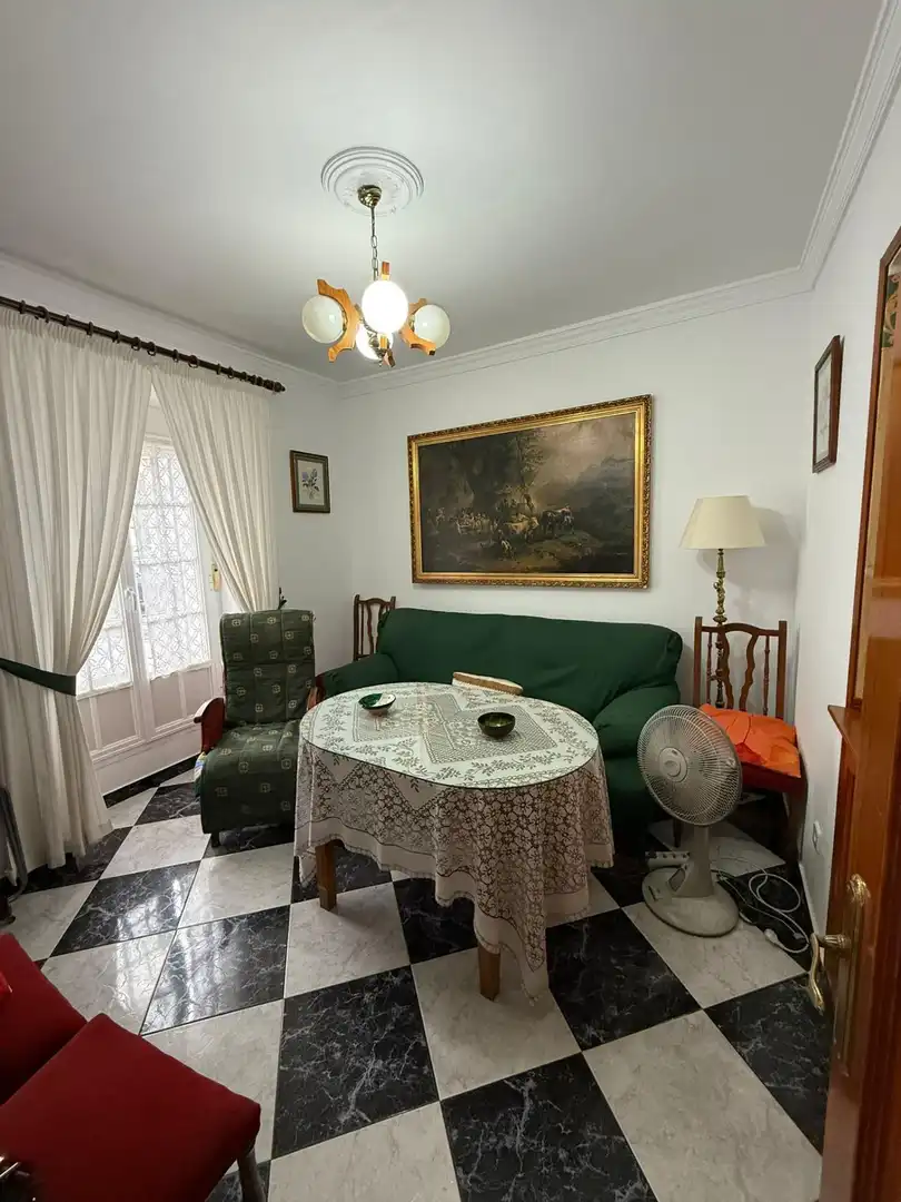 Sala d'estar de Casa o xalet en venda en Pizarra