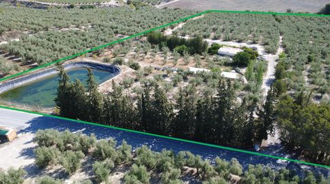 Finca con luz, agua y certificado urbanístico en Tíjola, immagine 2
