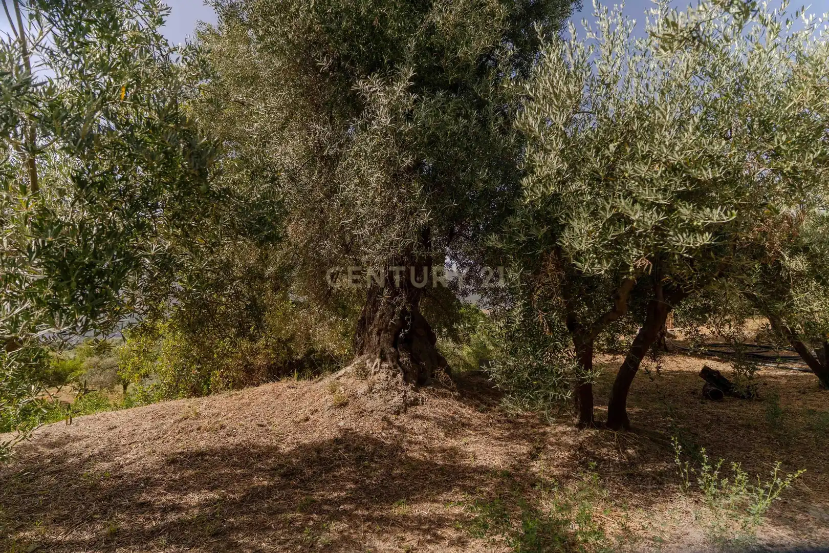 Houses for sale in Órgiva  with Private garden and Swimming Pool