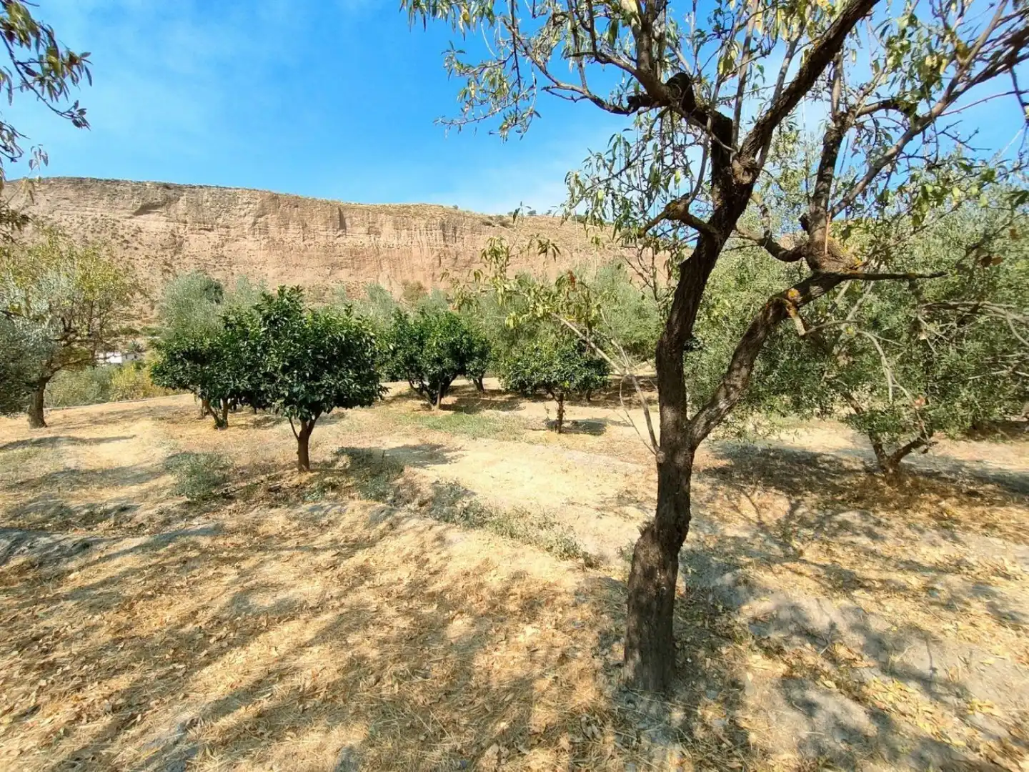 Grundstücke und Bauplätze zum Verkauf in Ugíjar, imagen 13