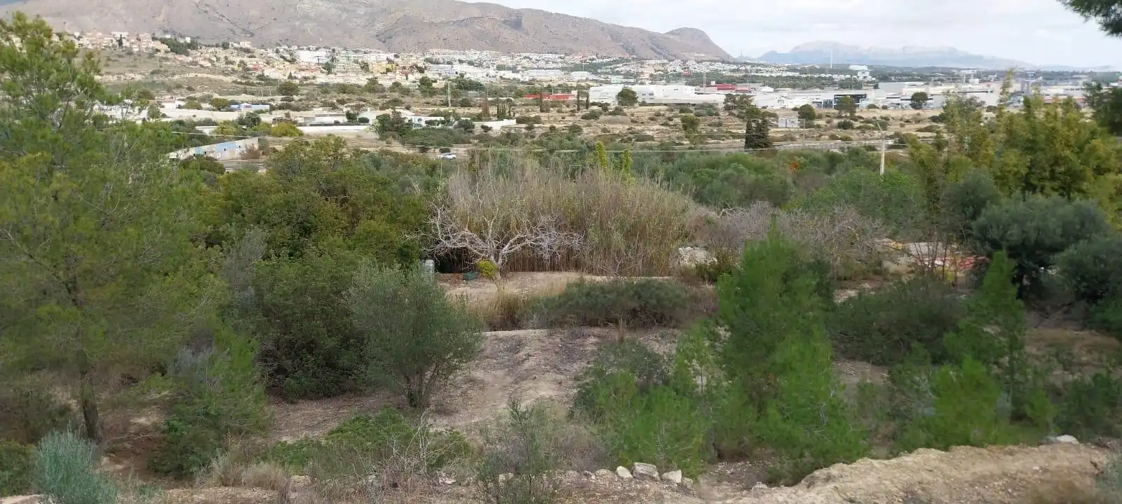 Wohnbaugrundstück zum Verkauf in Platja de Torres, imagen 24
