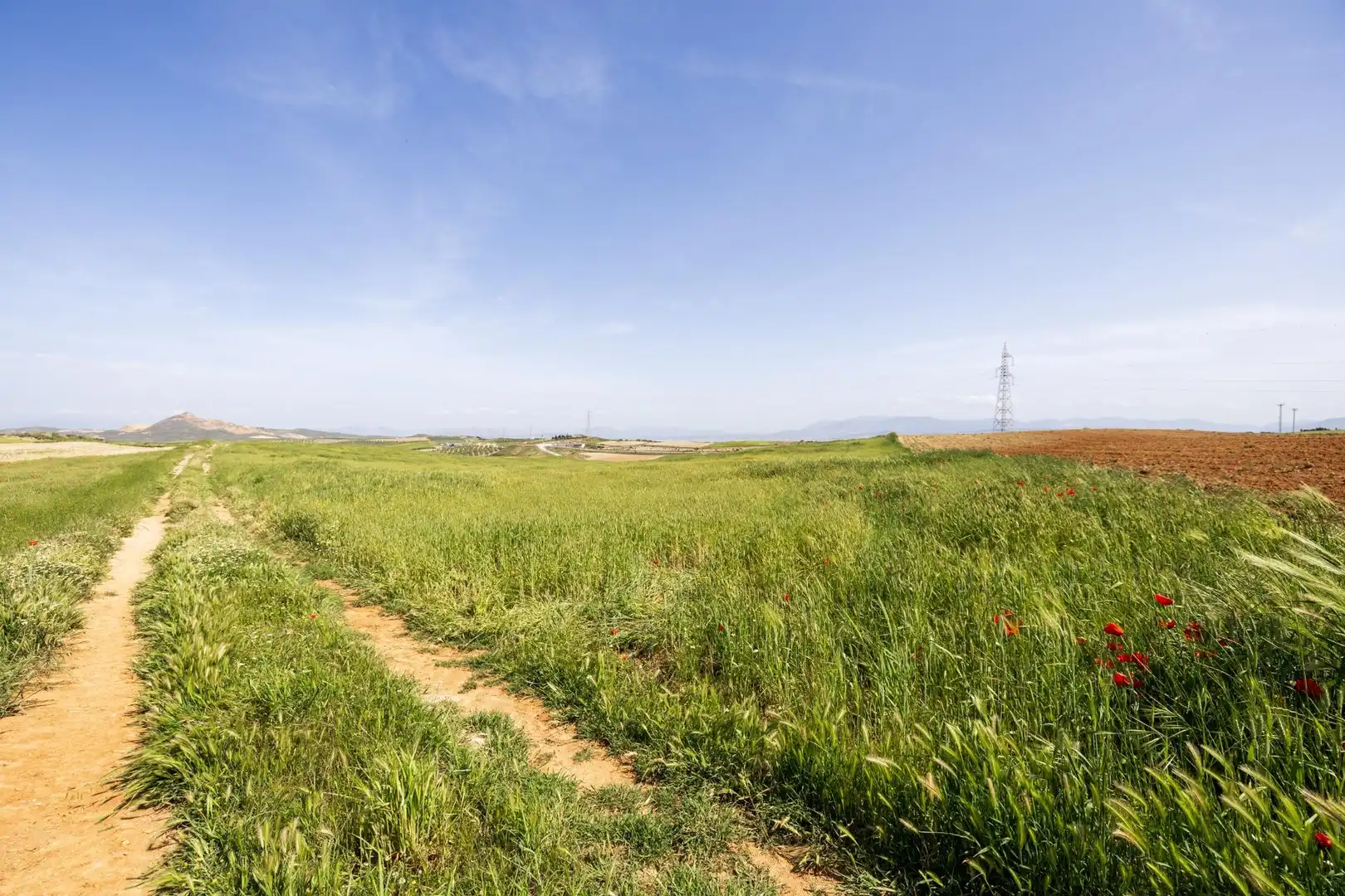 Lands and plots for sale in Otura 6, imagen 18