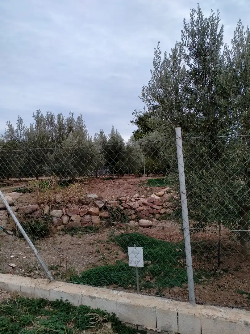 Rural land for sale in Gilet, imagen 13