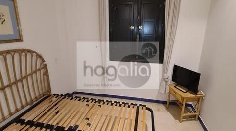 Foto 5 de Planta baixa de lloguer a San Gil, Sevilla