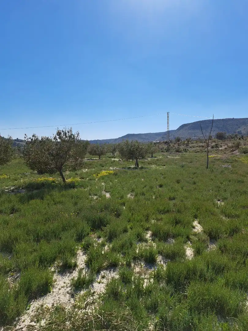 Terreno rustico in vendita a Plaça Industrial Garganta, imagen 11