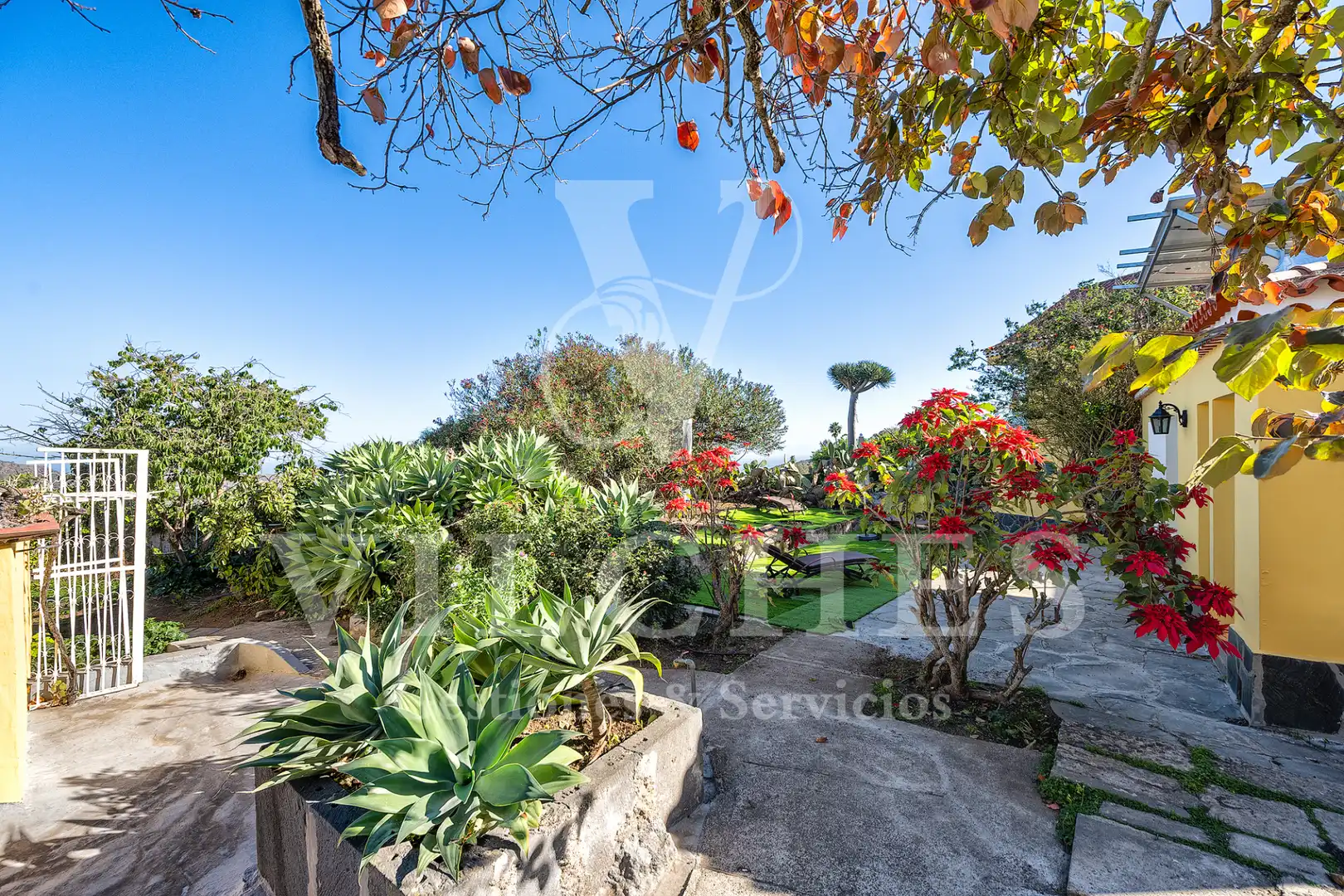Jardí de Casa o xalet en venda en Santa Brígida amb Jardí privat, Terrassa i Traster