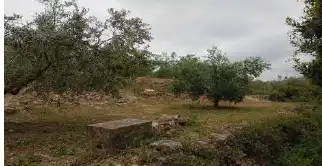 Rustikales Grundstück zum Verkauf in Paraje Corral, imagen 7