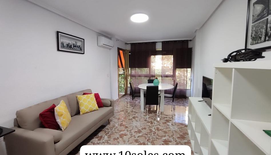 Foto 1 de Pis de lloguer a Orihuela ciudad, Alicante