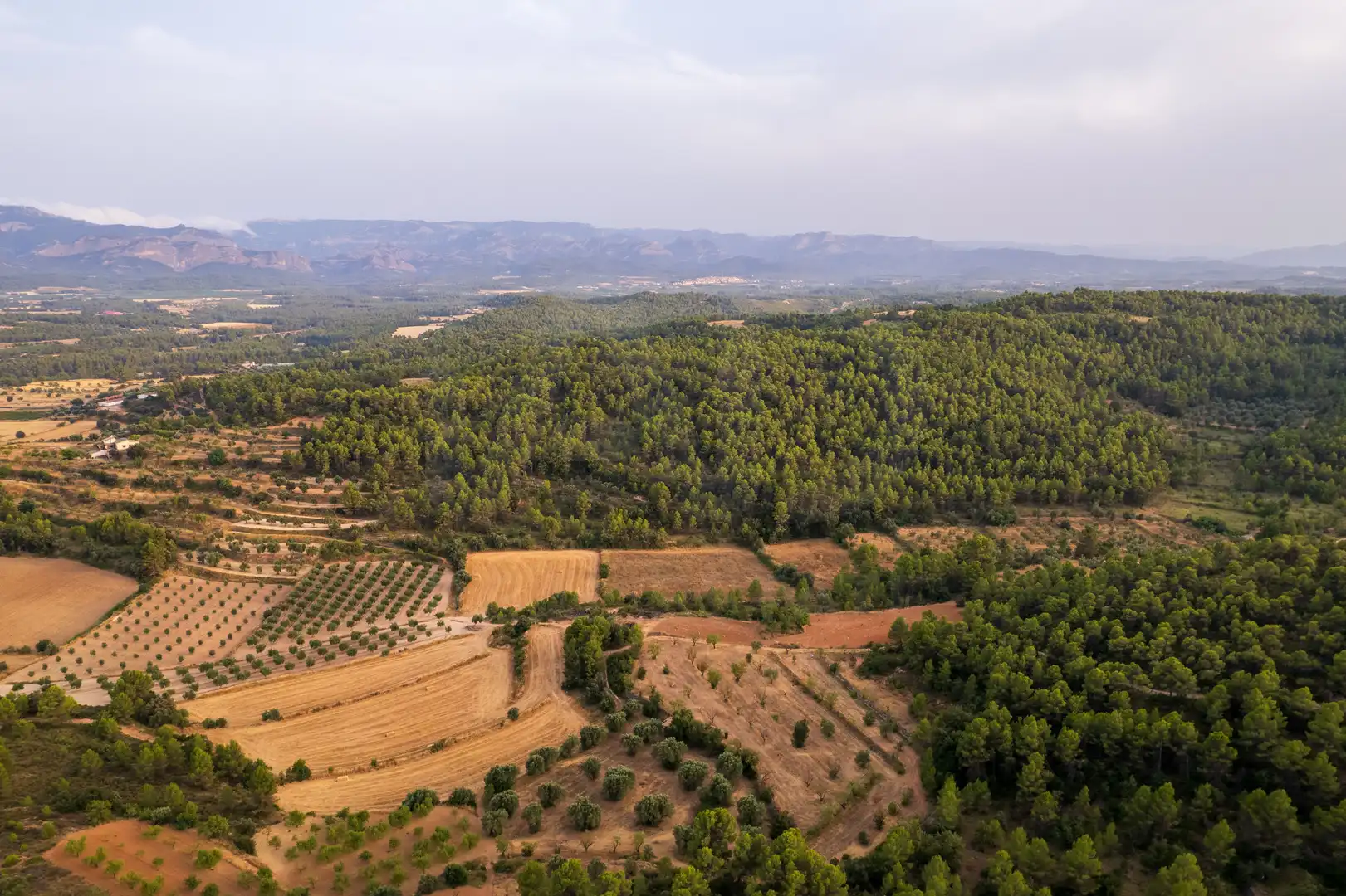 Rural land for sale in Lledó, imagen 25