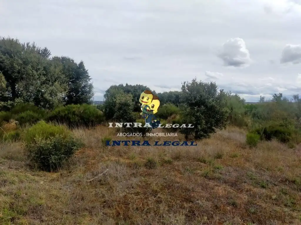 Terreno en venta en Valverdón