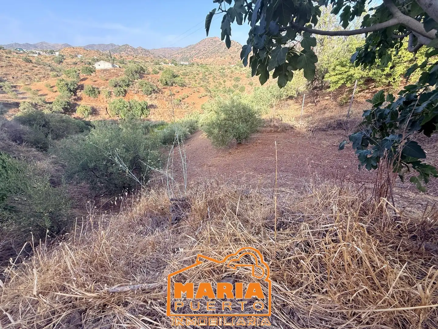 Terreno rustico in vendita a Almogía, imagen 5