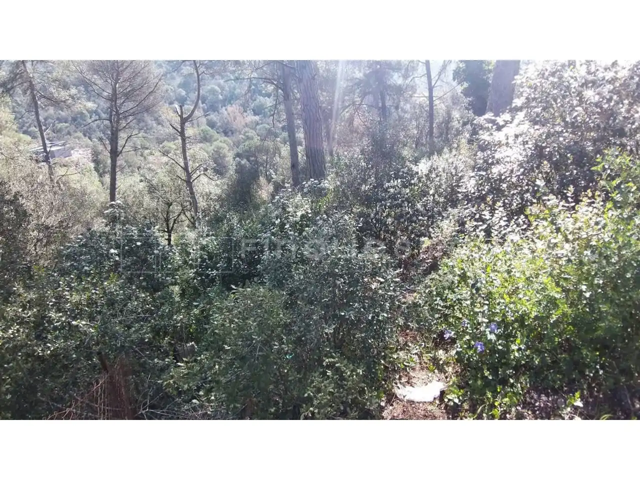 Terreno residencial en venta en Paseo Estació de Torreblanca, imagen 6