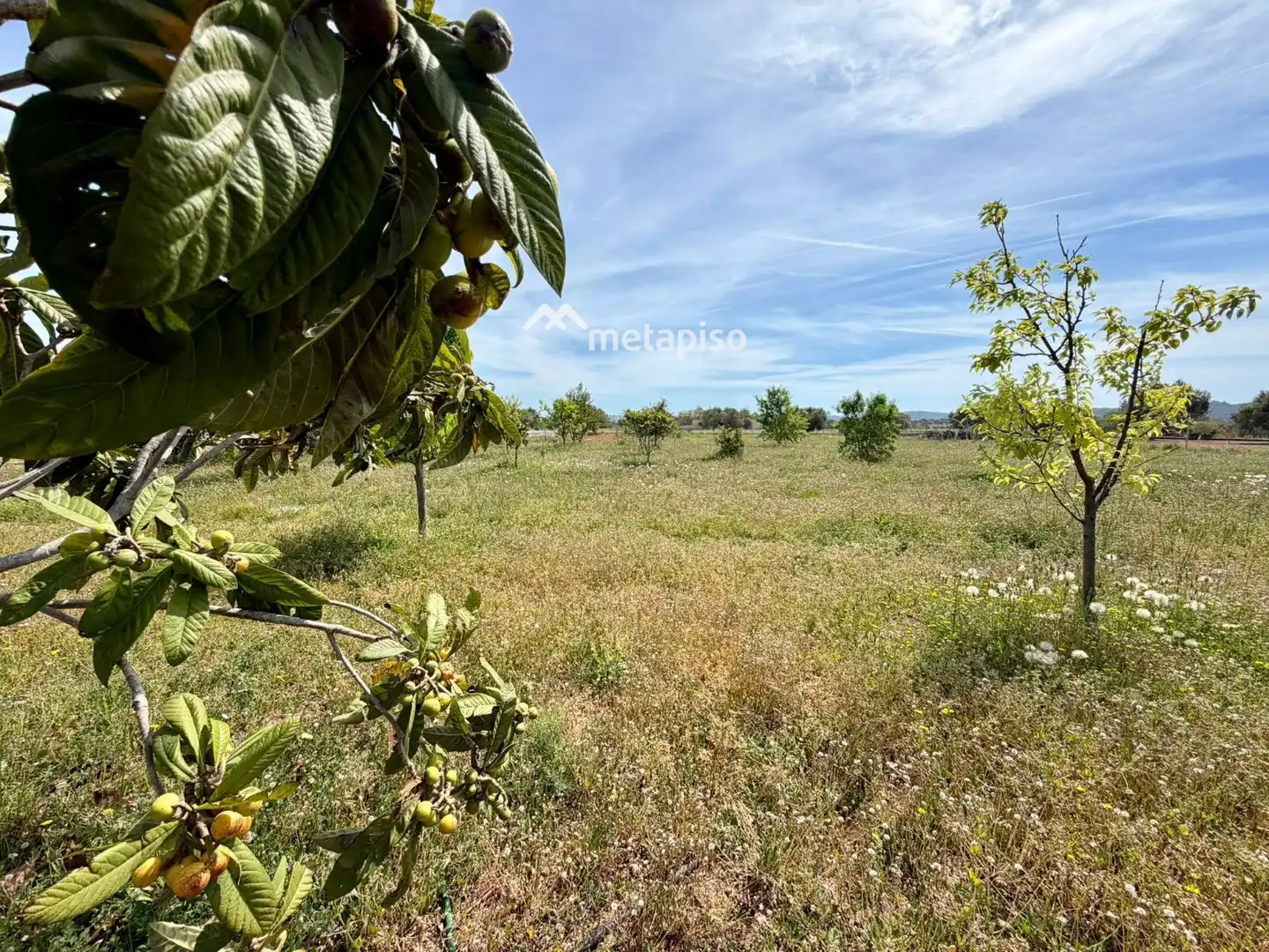 Terreno rustico in vendita a Santa Oliva, imagen 79