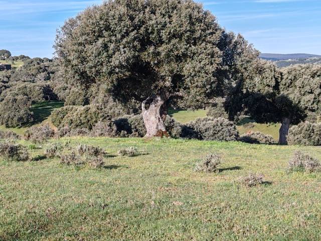 Terreno en Venta en Cespedosa de Tormes