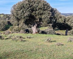 Finca rústica en venda en Cespedosa de Tormes