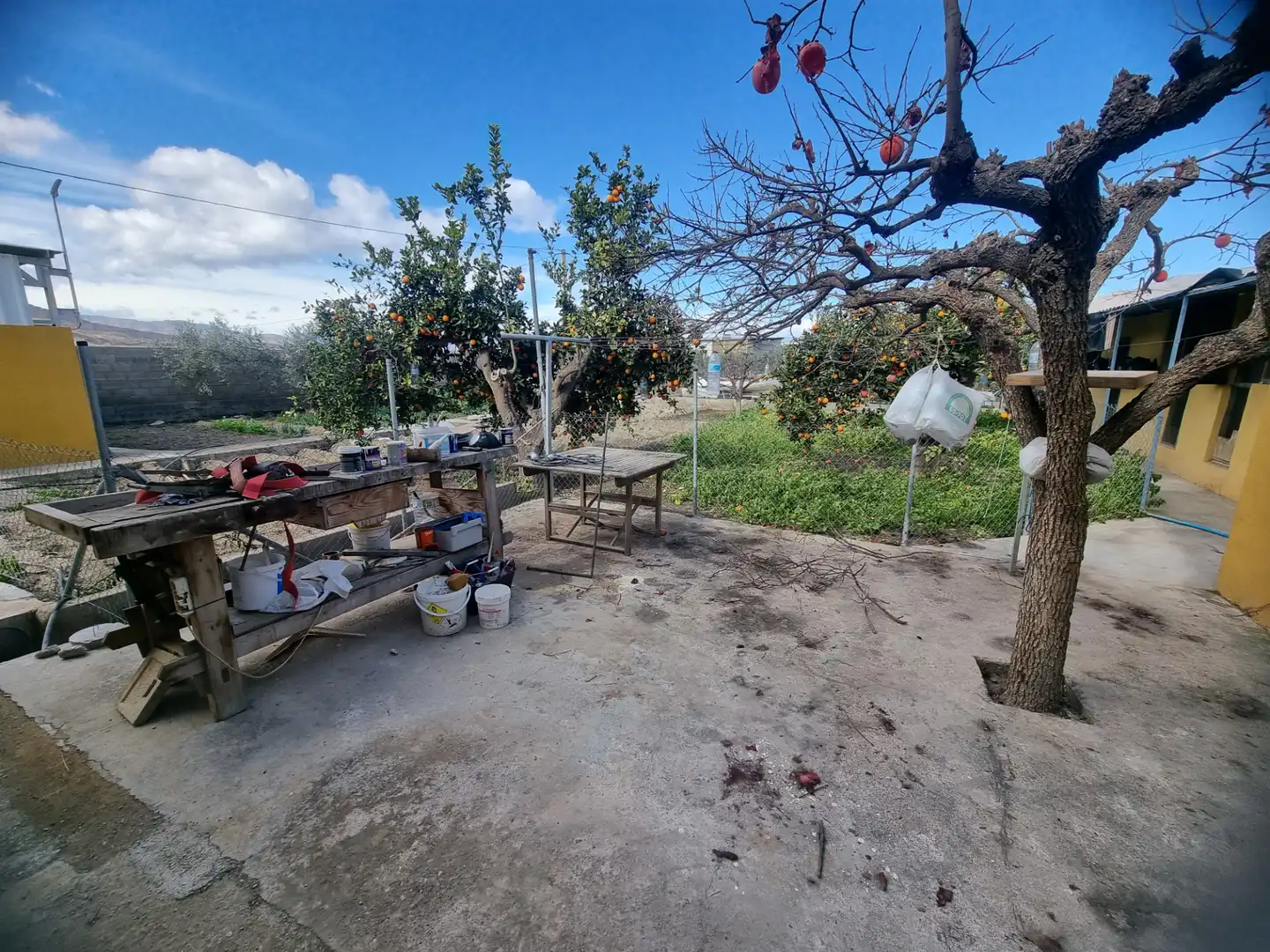 Vista exterior de Finca rústica en venta en Pechina con Aire acondicionado, Calefacción y Jardín privado