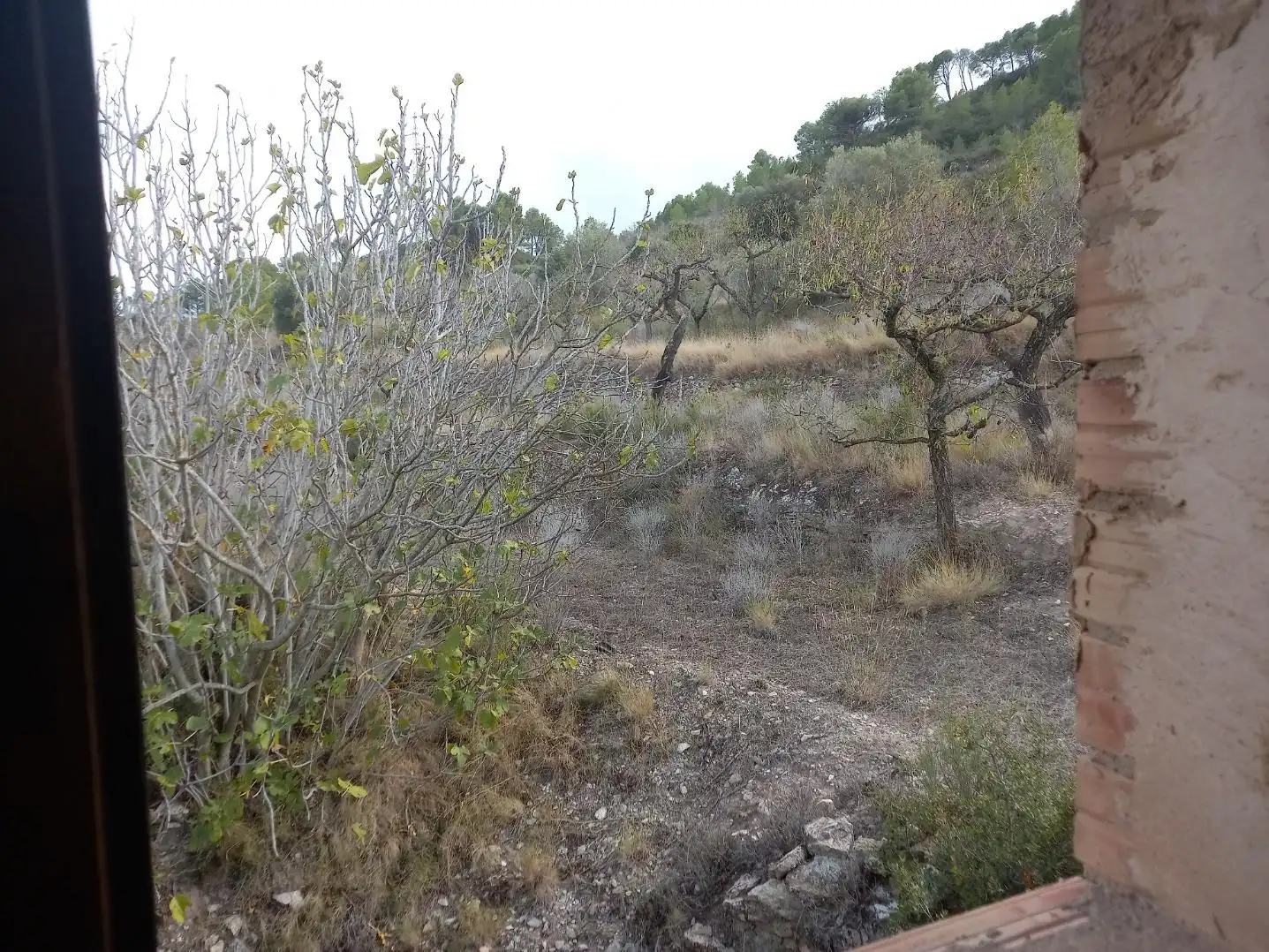 Rural land for sale in Benissanet, imagen 32