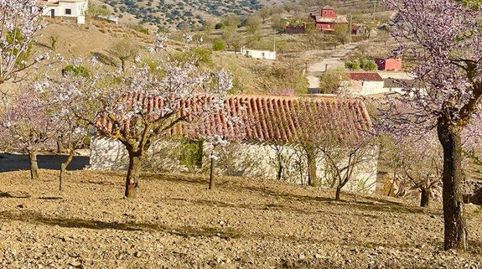 Foto 4 de Finca rústica en venta en Vélez-Rubio, Almería