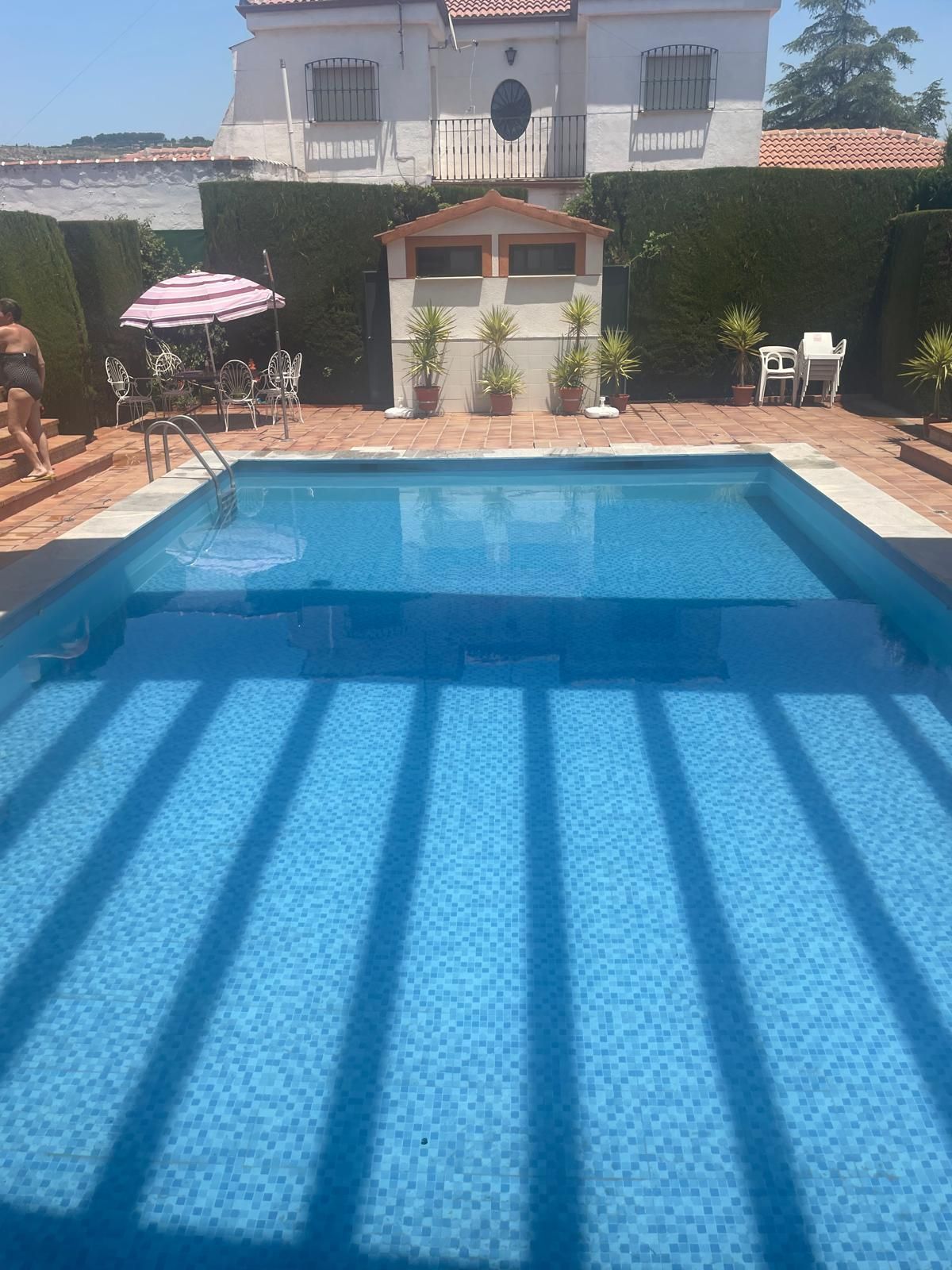 Swimming pool of House or chalet to rent in Martos