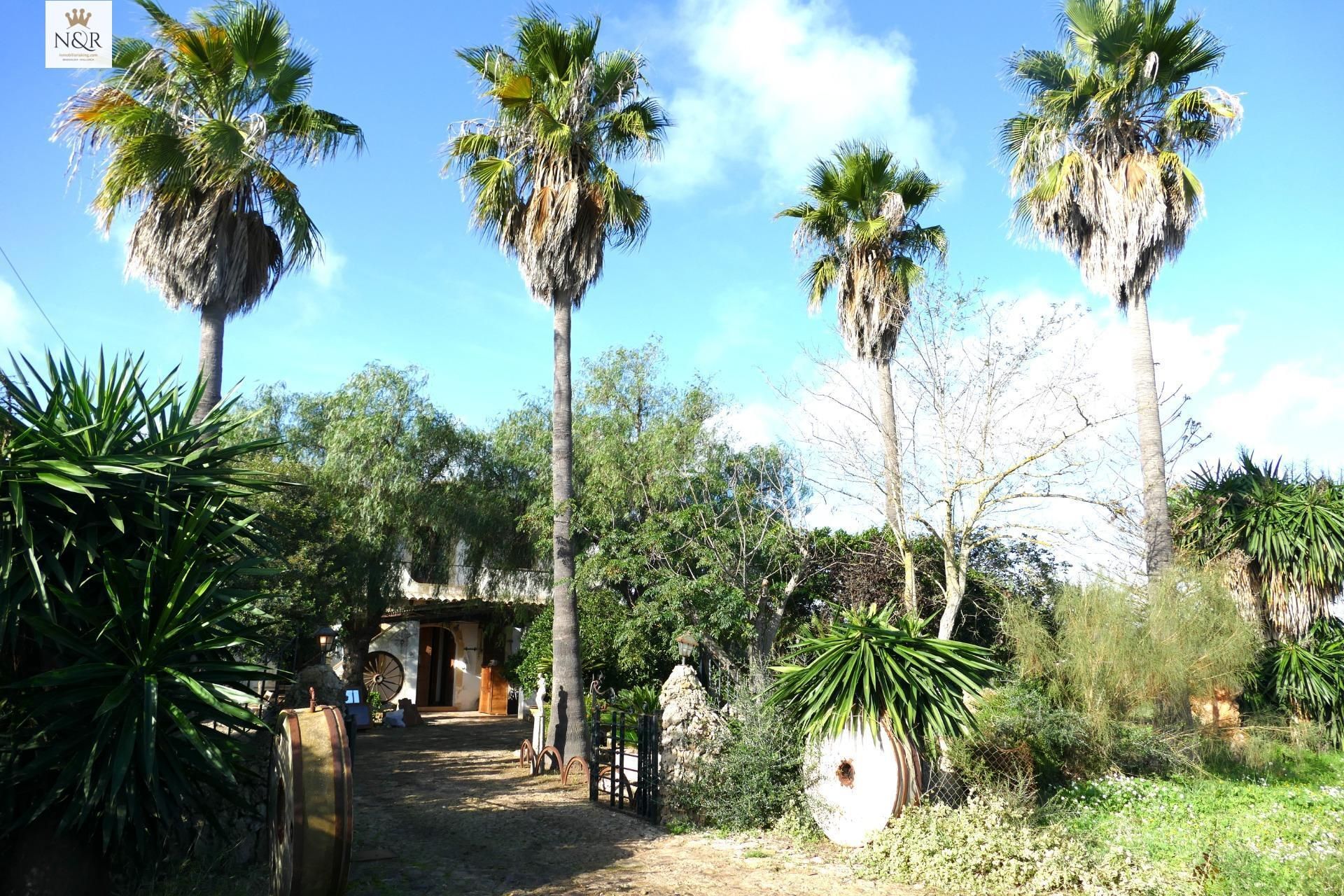 Jardí de Finca rústica en venda en Sencelles amb Calefacció, Jardí privat i Terrassa