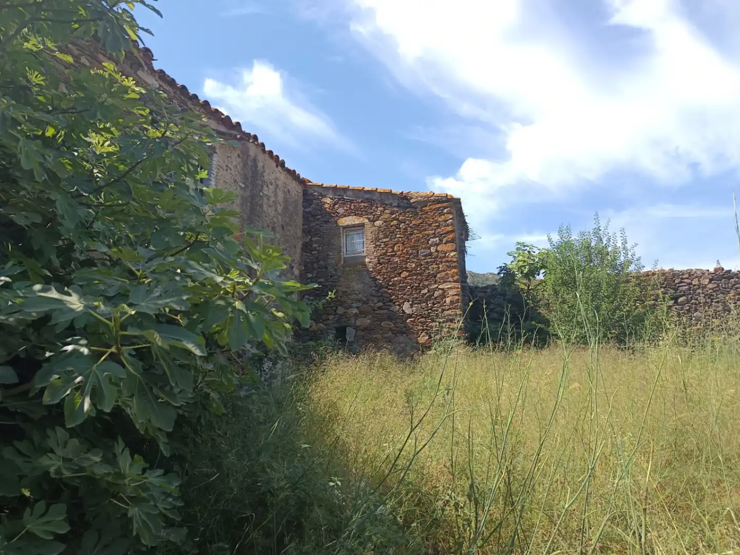 Vista exterior de Finca rústica en venta en Vilajuïga con Terraza, Trastero y Balcón