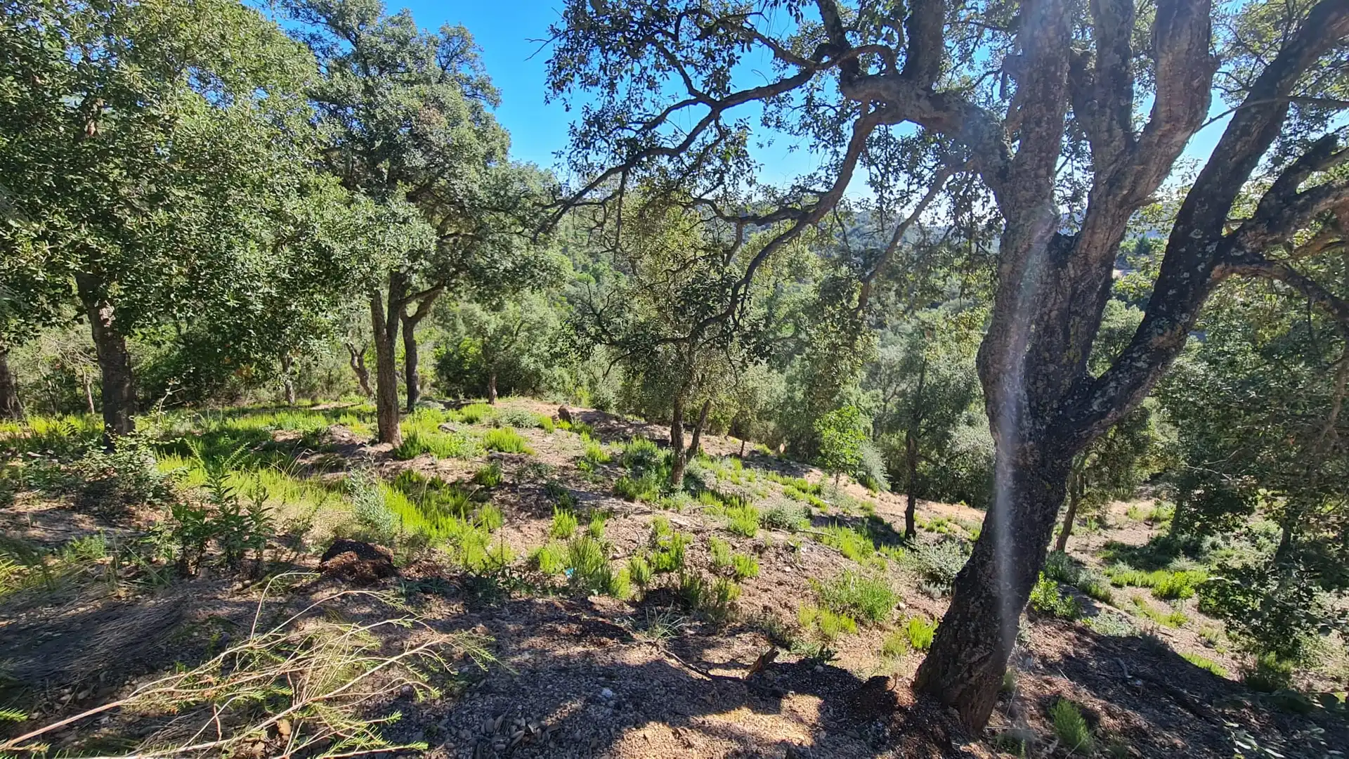 Terreno residencial en venta en Lloret Residencial - Montlloret