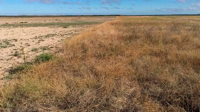Terreno en venta en Ramiro