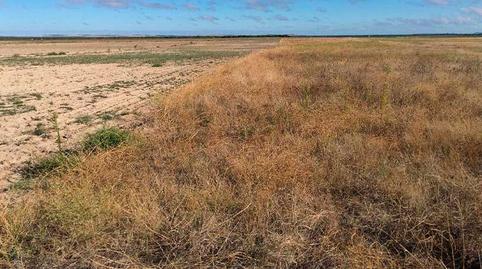 Photo 5 of Land for sale in Ramiro, Valladolid