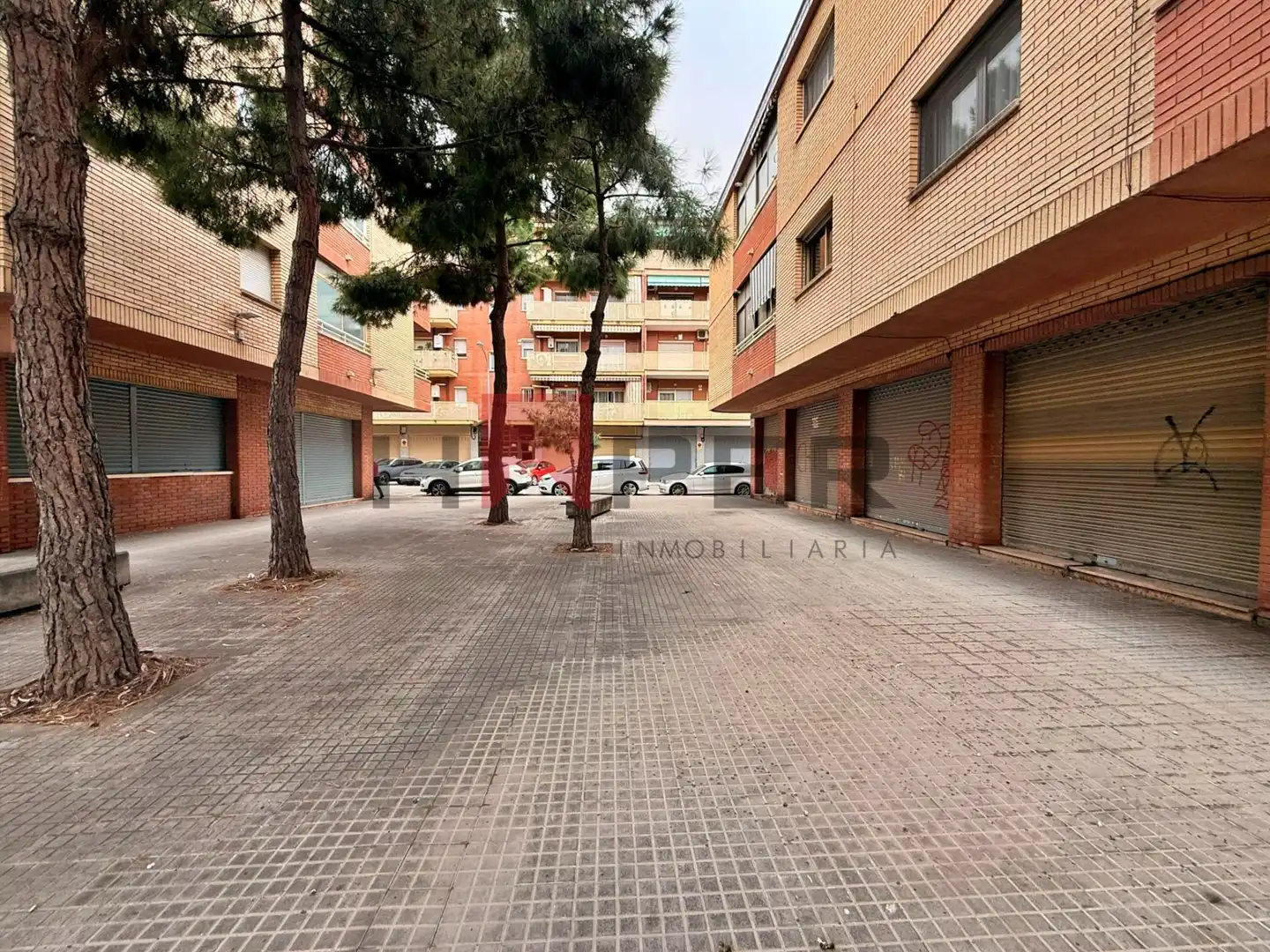 Business premises for sale in JOSEP GUILERA I MOLAS, imagen 4
