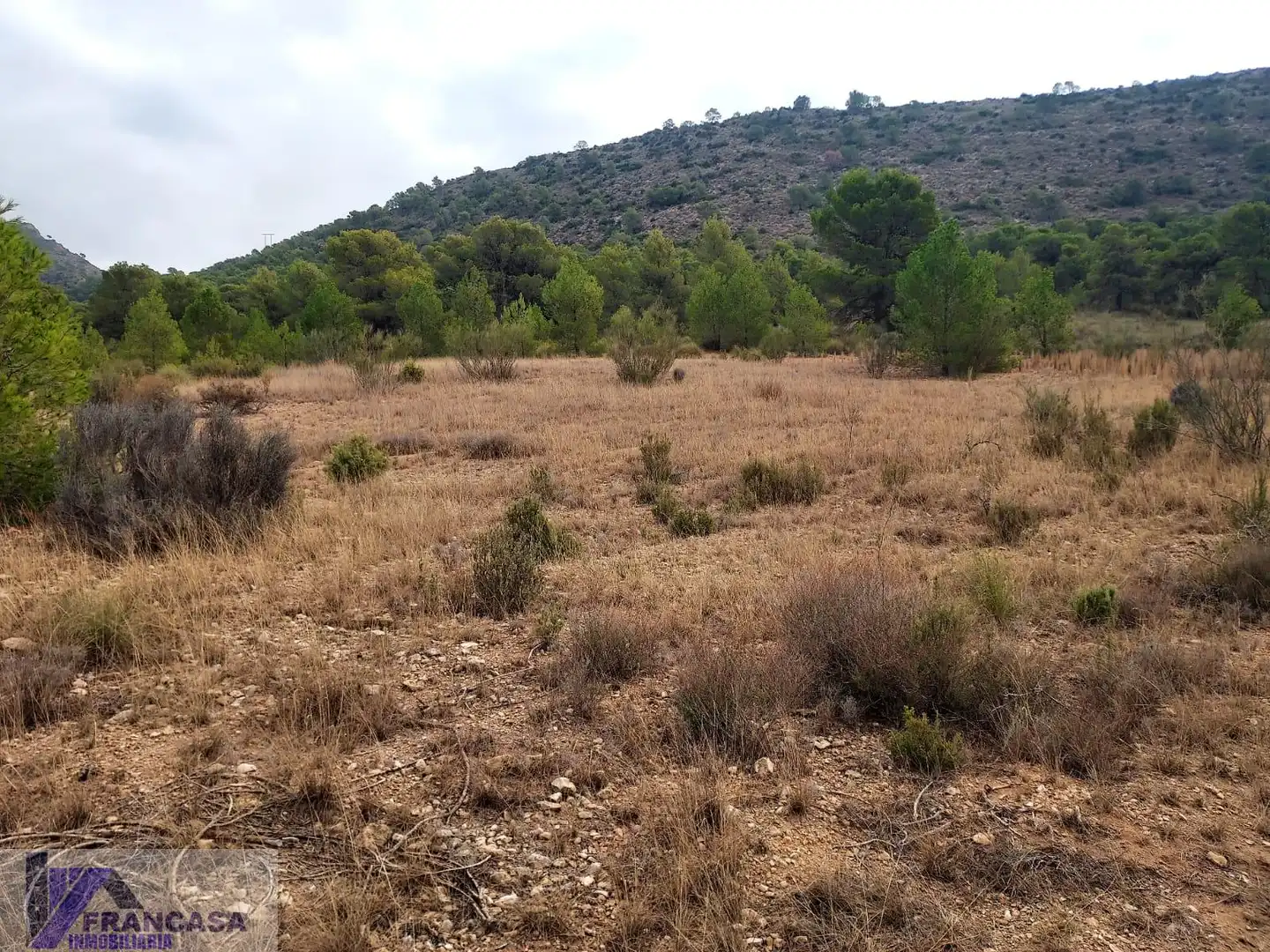 Terrenys i solars en venda a Cieza, imagen 7