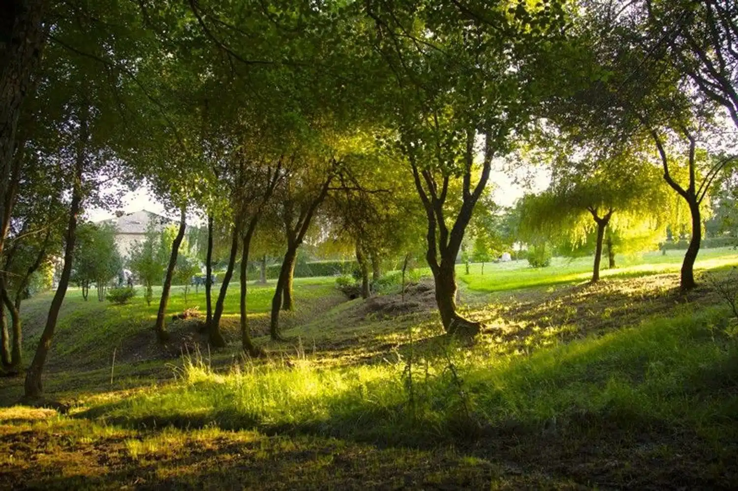 Vista exterior de Finca rústica en venda en Castroverde amb Aire condicionat, Jardí privat i Terrassa