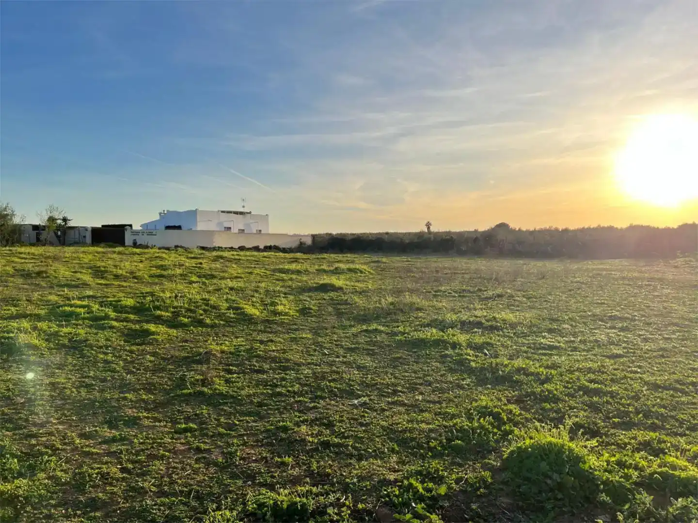 Terreno en venta en Benacazón
