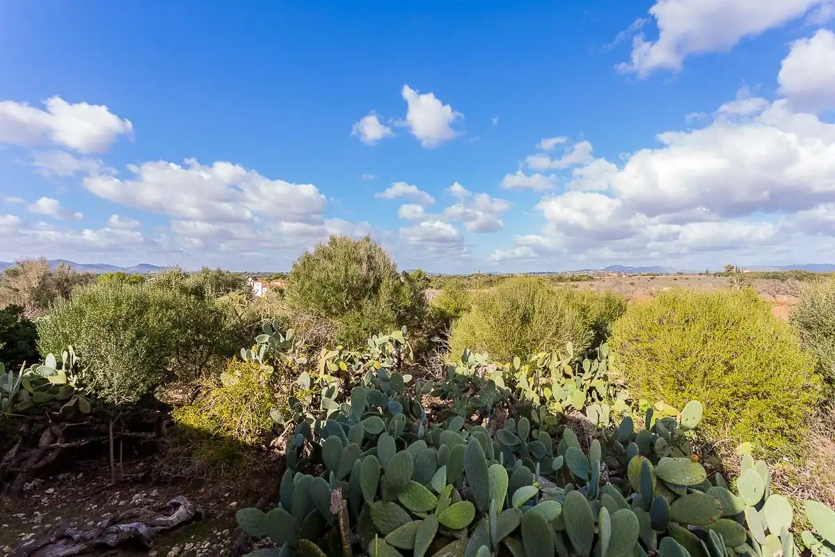 Finca rústica en venta en Cala Magrana - Cala Anguila - Cala Mendia