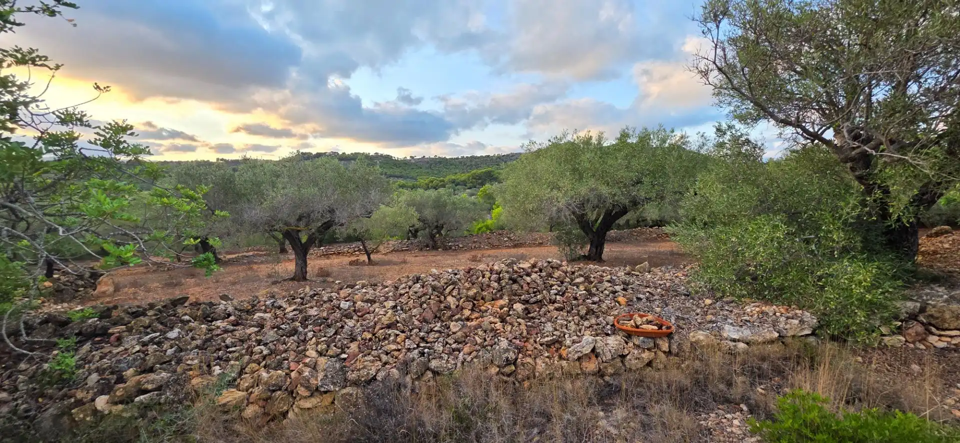 Maison rustique à vendre à Roques Daurades - L'Estany, imagen 22