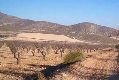 Rural land for sale in El Carril - Paseo de Chapi