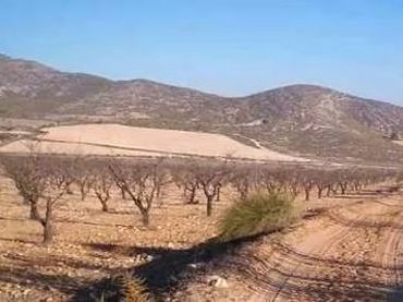 Rustikales Grundstück zum Verkauf in El Carril - Paseo de Chapi