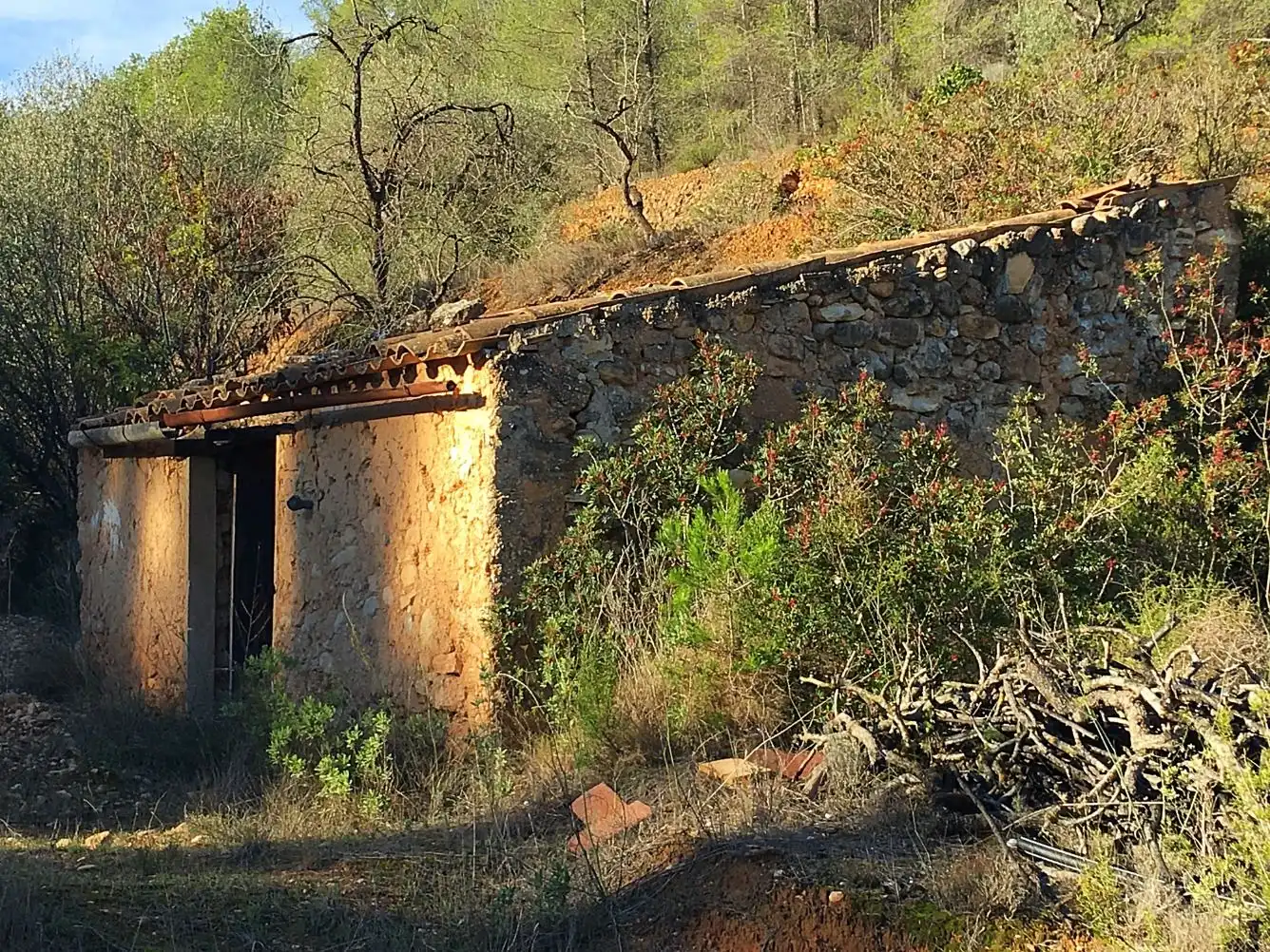 Maison à vendre à El Pinell de Brai, imagen 5