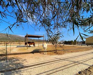 Exterior view of Country house for sale in Alicante / Alacant  with Heating, Terrace and Swimming Pool