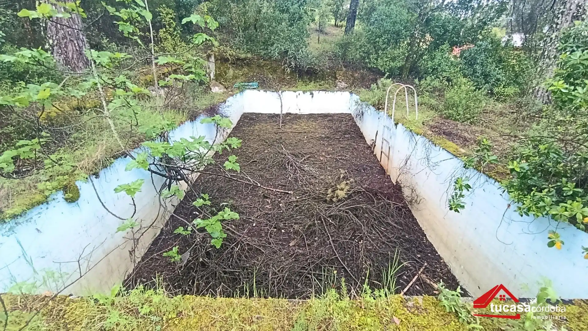 Garden of Houses for sale in  Córdoba Capital