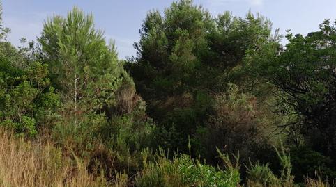 Photo 4 of Residential for sale in Alginet, Valencia