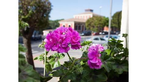 Photo 4 of House or chalet for sale in Calle Ebro, El Campillo - Norte,  Logroño