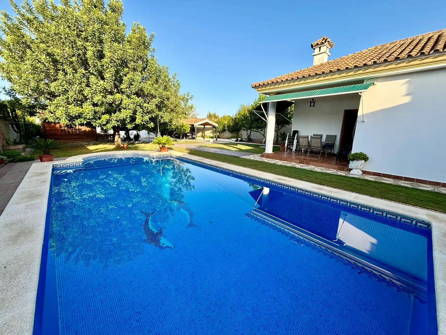 Piscina de Casa o xalet en venda en Arcos de la Frontera amb Jardí privat, Traster i Piscina
