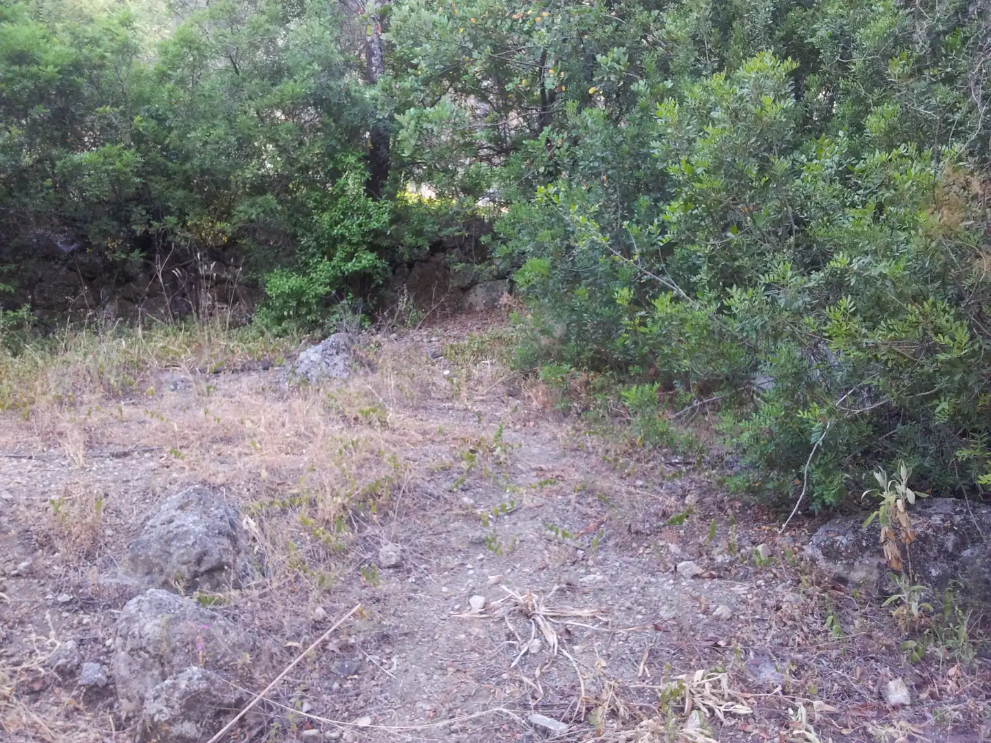 Finca rústica en venta en Ubrique