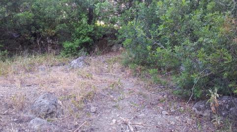 Foto 2 de Finca rústica en venta en Ubrique, Cádiz